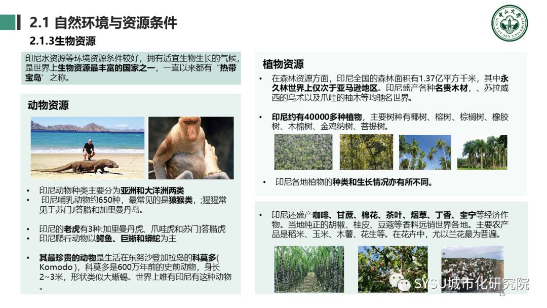 【东南亚投资分析】印度尼西亚篇：千岛之国，全球海洋支点
