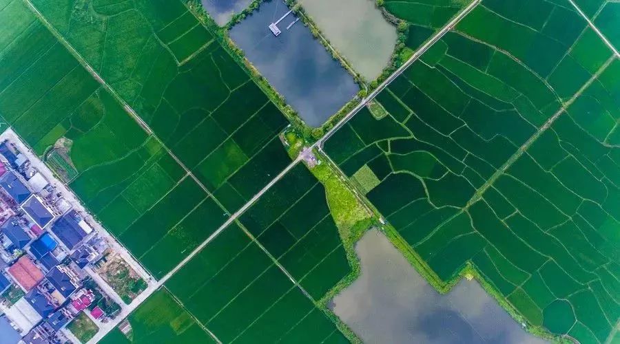 【知晓】什么是统一的空间规划，什么是多规合一？