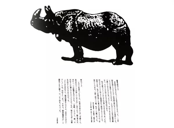 设计城市｜任性的甲贺奇怪体，手写的人生