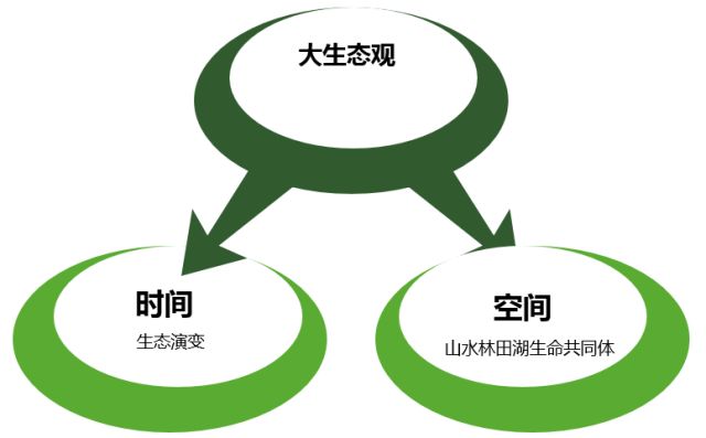 沈丹：大处着眼，小处入手——城市双修视角下的生态修复工作方法丨2018清华同衡学术周