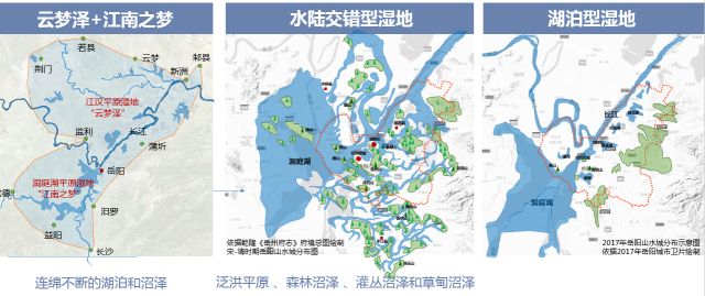 沈丹：大处着眼，小处入手——城市双修视角下的生态修复工作方法丨2018清华同衡学术周