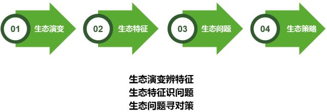 沈丹：大处着眼，小处入手——城市双修视角下的生态修复工作方法丨2018清华同衡学术周