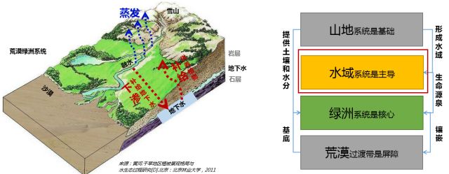 沈丹：大处着眼，小处入手——城市双修视角下的生态修复工作方法丨2018清华同衡学术周