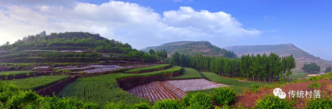 乡村志怪录：在蒙山深处，发生了一桩奇案