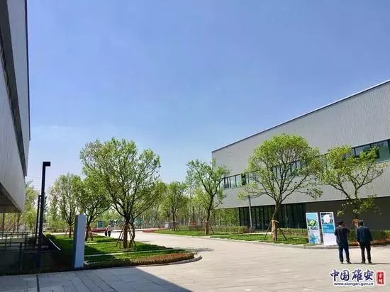 李晓江：“雄安是城镇化转向下半场的探路者”