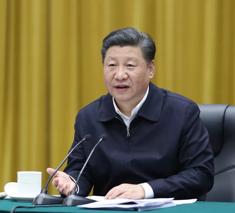 习近平：在深入推动长江经济带发展座谈会上的讲话