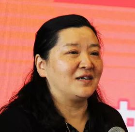 城市双修 大美延安——延安城市双修工作简介