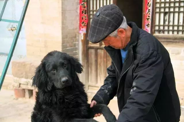 春暖花开望田园，这里是三段春天的乡村故事