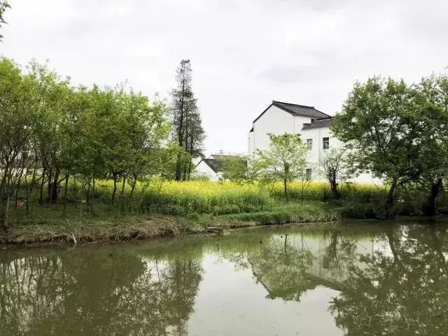 春暖花开望田园，这里是三段春天的乡村故事