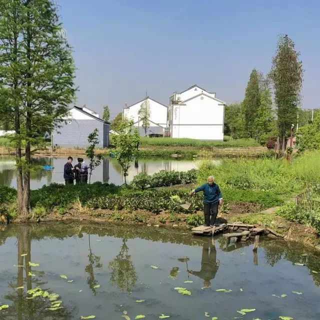 春暖花开望田园，这里是三段春天的乡村故事