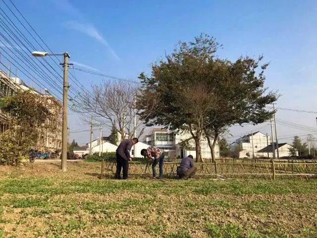 春暖花开望田园，这里是三段春天的乡村故事