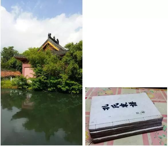 春暖花开望田园，这里是三段春天的乡村故事