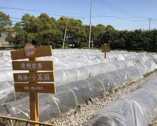 春暖花开望田园，这里是三段春天的乡村故事