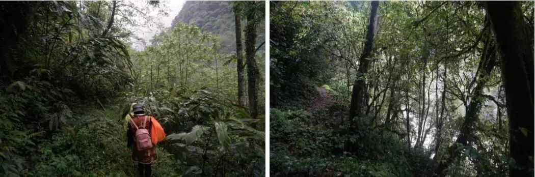 春暖花开望田园，这里是三段春天的乡村故事