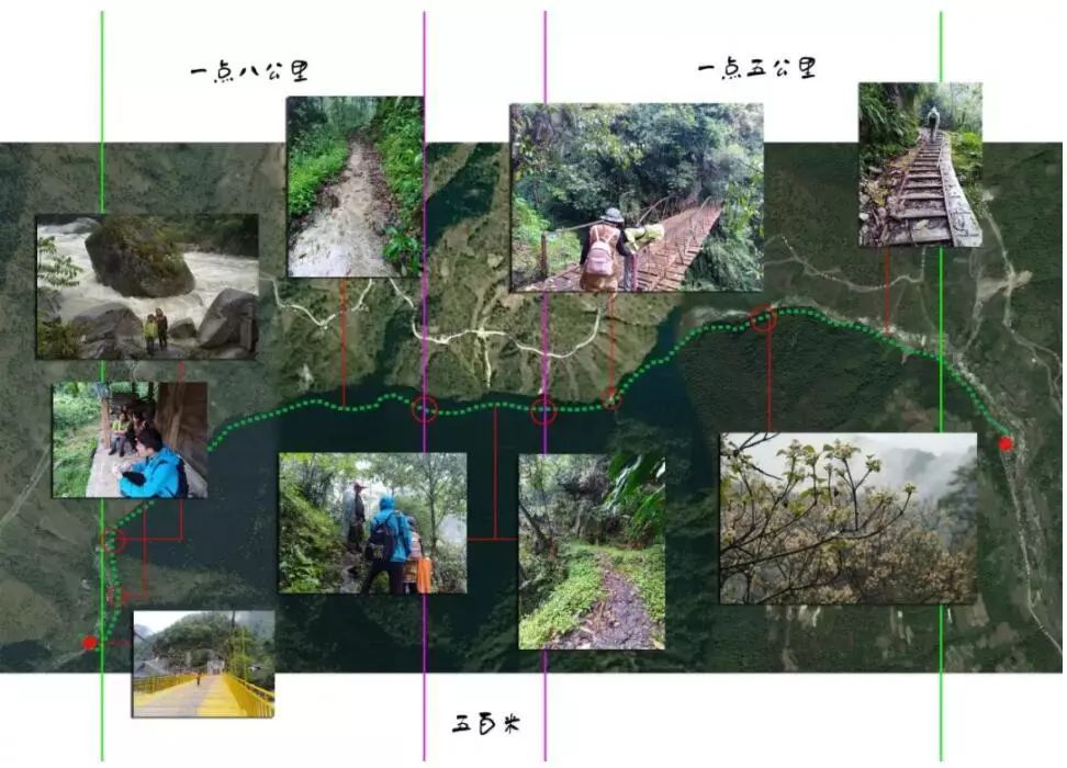春暖花开望田园，这里是三段春天的乡村故事