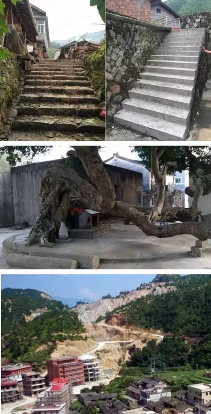 以中国乡土之道，营造中国乡村