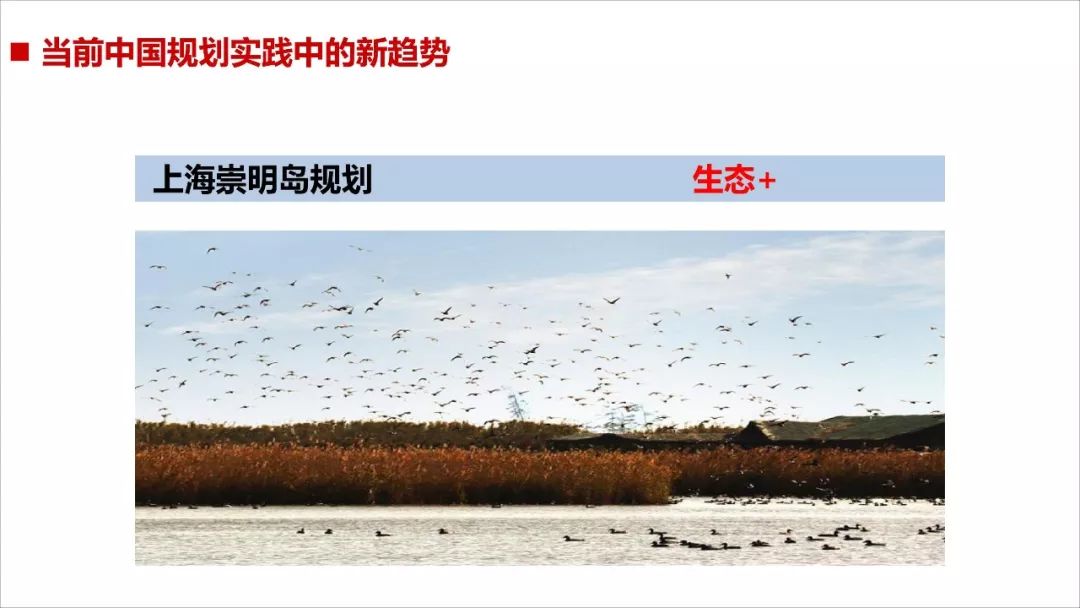 王凯：经济转型时期的规划供给