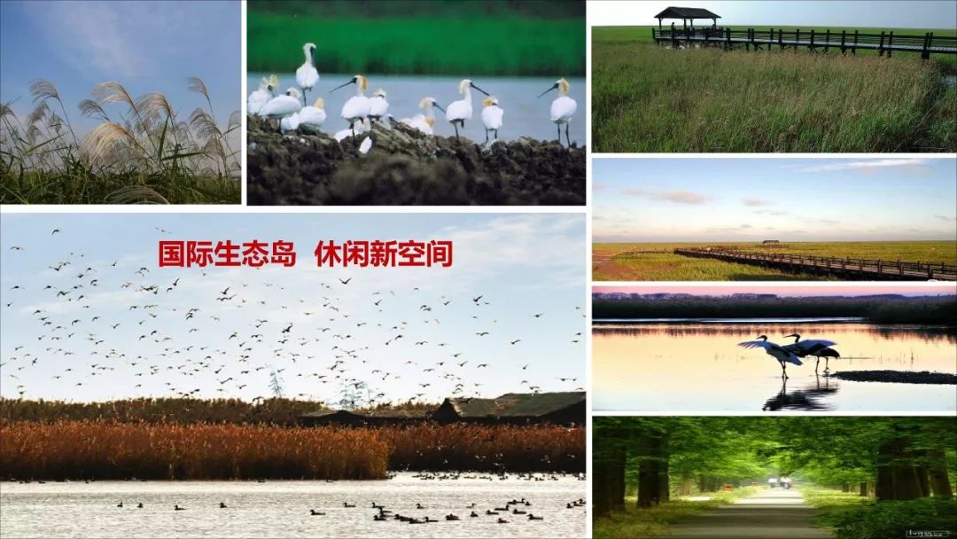 王凯：经济转型时期的规划供给