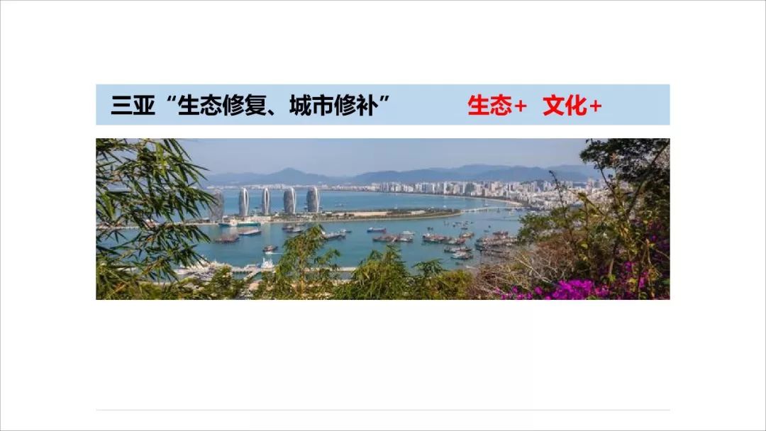 王凯：经济转型时期的规划供给