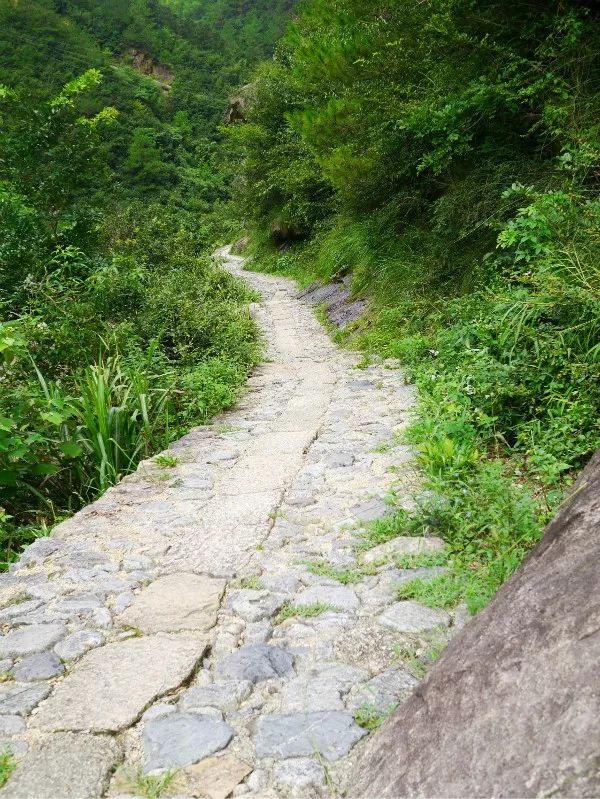 夏日必来!“凉”心推荐!长三角最佳避暑旅游目的地 夏日必来!“凉”心推荐!长三角最佳避暑旅游目的地