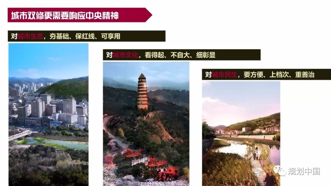 纲举目张 秉要执本——延安“生态修复 城市修补”总体规划实践思考
