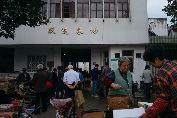 城市漫步·社群在造｜崇明：瀛洲访仙不遇有得