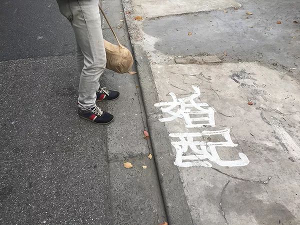 城市漫步·社群在造｜崇明：瀛洲访仙不遇有得