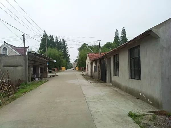 城市漫步·社群在造｜崇明岛上的乡村传说