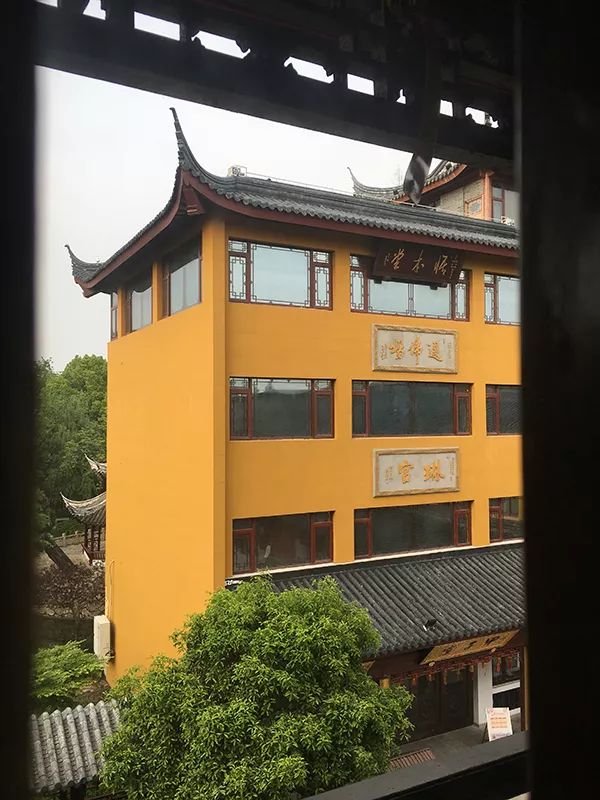 城市漫步·社群在造｜崇明岛上的乡村传说