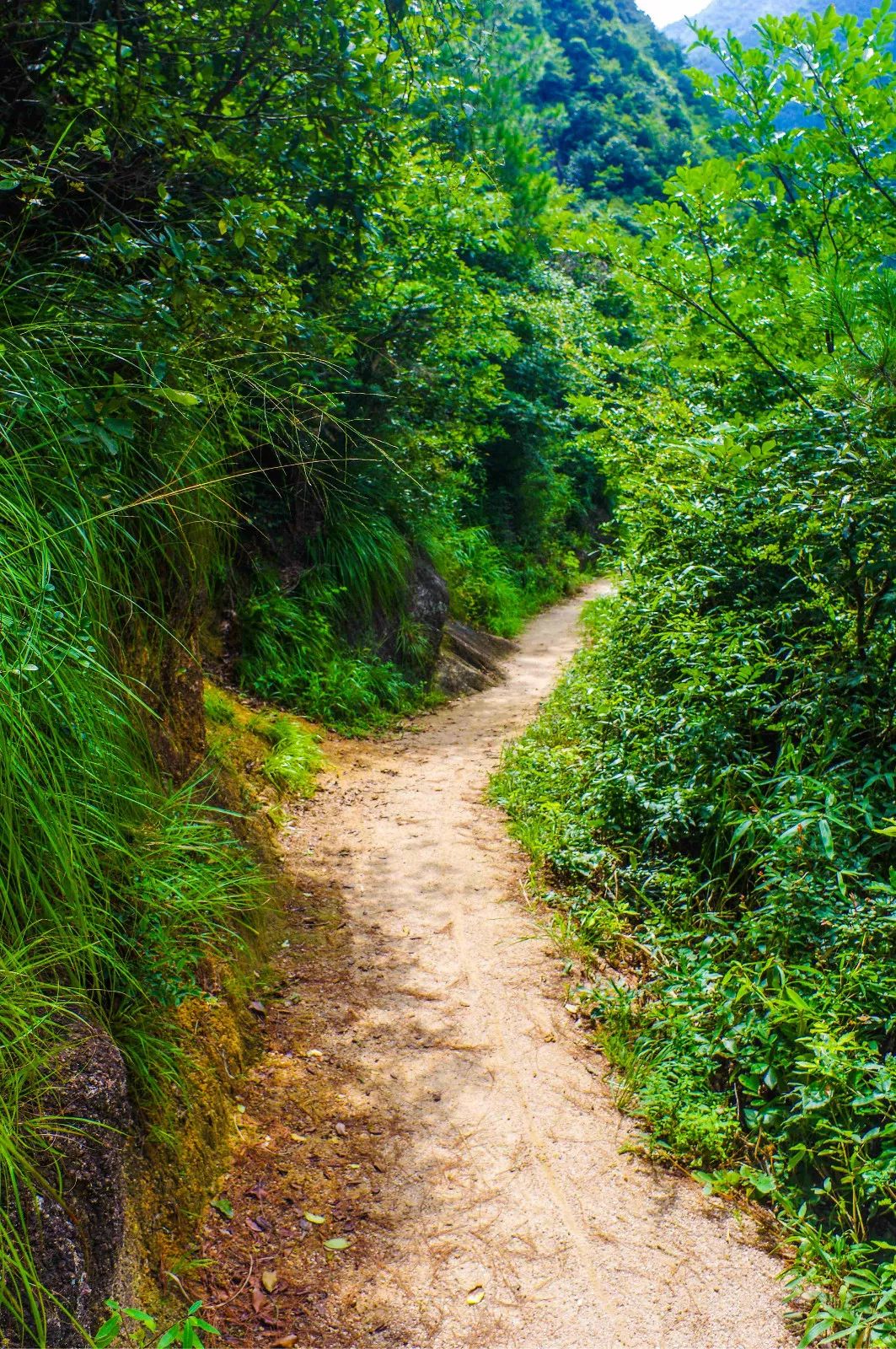 夏日必来!“凉”心推荐!长三角最佳避暑旅游目的地 夏日必来!“凉”心推荐!长三角最佳避暑旅游目的地