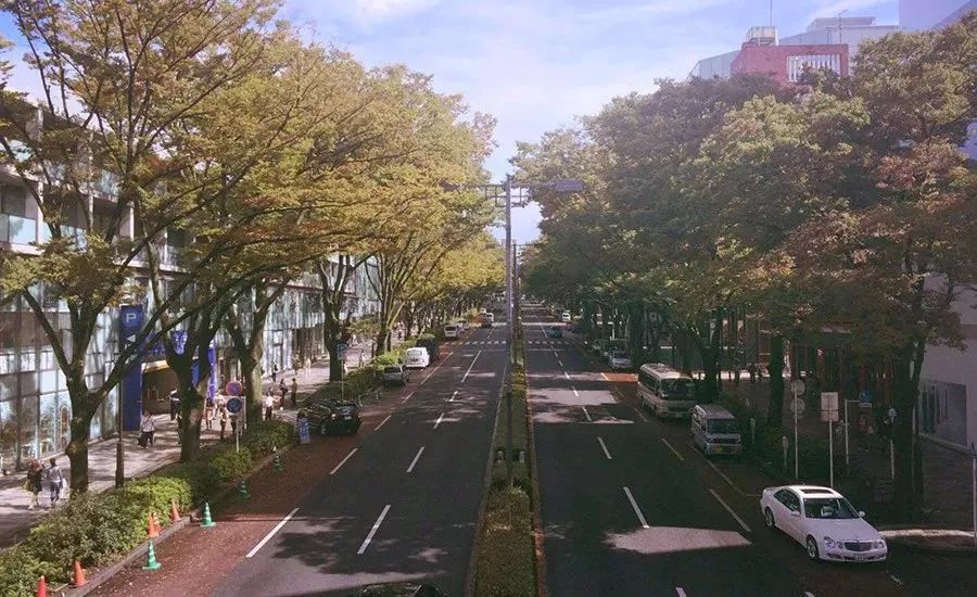 报名即将结束| 2018日本越后妻有大地艺术乡村振兴及街区营造+景观+建筑设计探学之旅