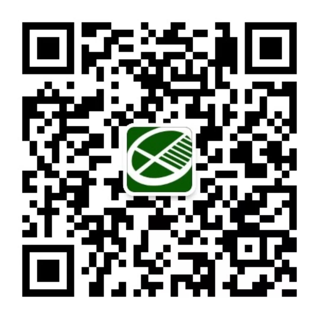 即将消失的建筑 ▎ 维吾尔磨砖的“工匠精神”和“艺术精神” 即将消失的建筑 ▎ 维吾尔磨砖的“工匠精神”和“艺术精神”