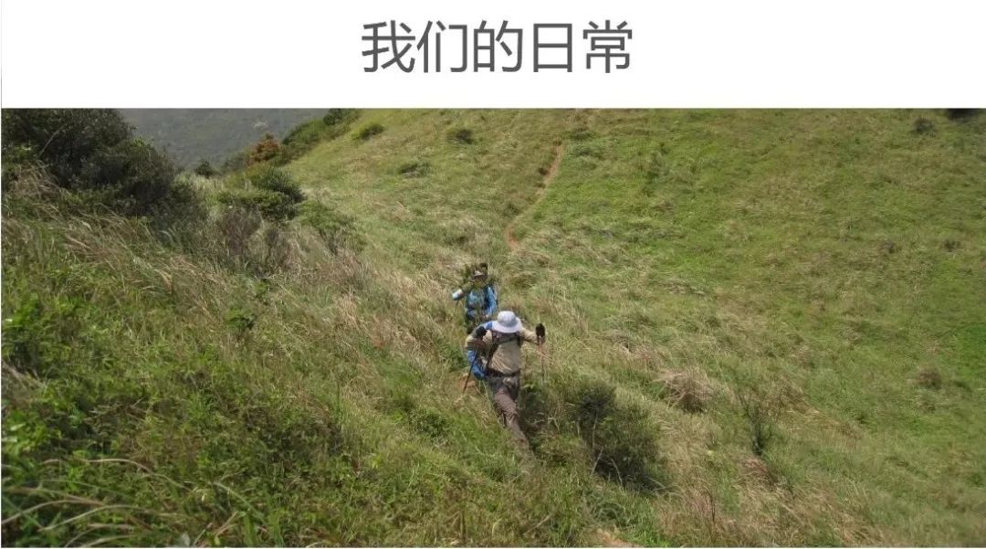 PPT合集分享：不同维度的健康城市研究与实践