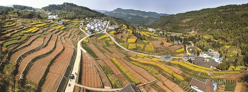 【政策】全域土地综合整治与生态修复工程如何实施？看浙江新规！