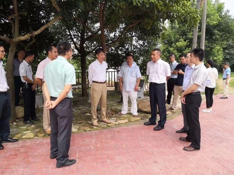 【风向】佛山市委副书记视察新安村，充分肯定国地规划“五位一体”的乡村振兴实践