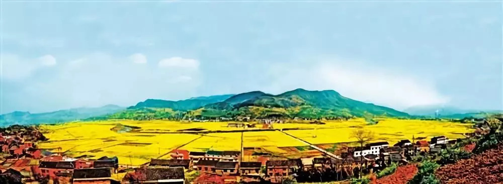 【政策】全域土地综合整治与生态修复工程如何实施？看浙江新规！