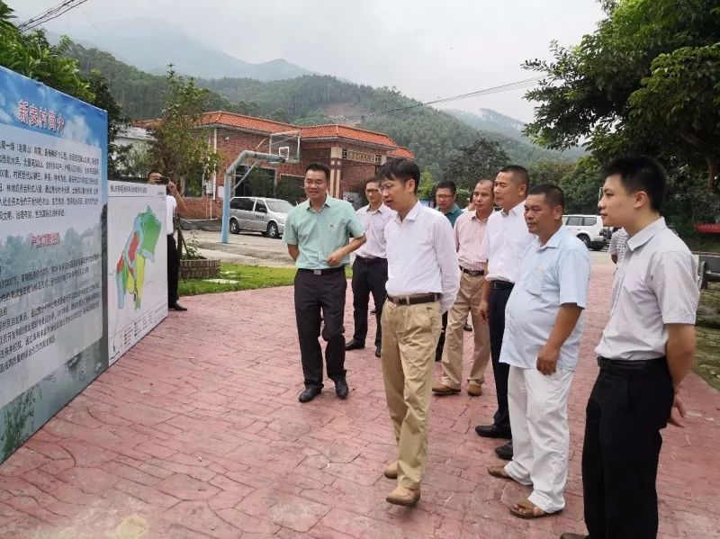 【风向】佛山市委副书记视察新安村，充分肯定国地规划“五位一体”的乡村振兴实践