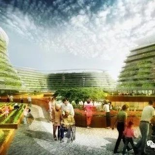 规划日报（08.13）：童明，城市修复的逻辑