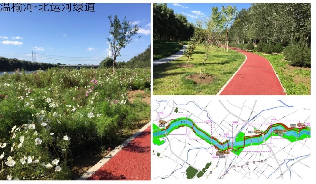 PPT合集分享：不同维度的健康城市研究与实践