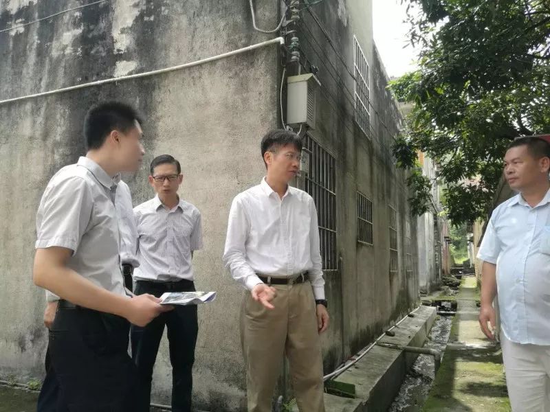 【风向】佛山市委副书记视察新安村，充分肯定国地规划“五位一体”的乡村振兴实践
