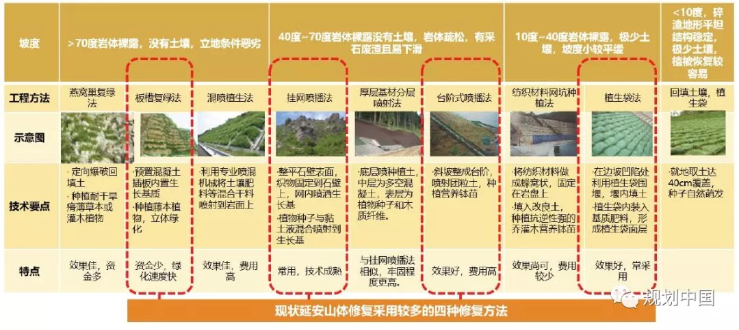 延安双修之生态修复篇——黄土干旱河谷城市生态修复工作体会