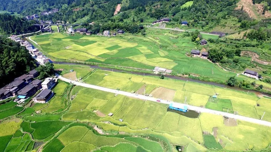 【资讯】农村土地改革完成阶段性目标 土地管理法修订或加速