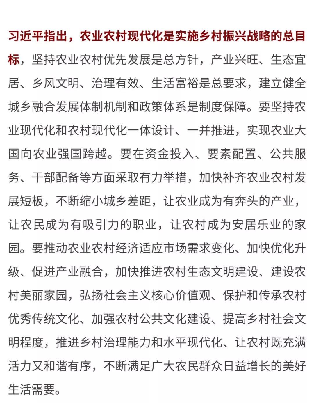 习近平：把乡村振兴战略作为新时代“三农”工作总抓手
