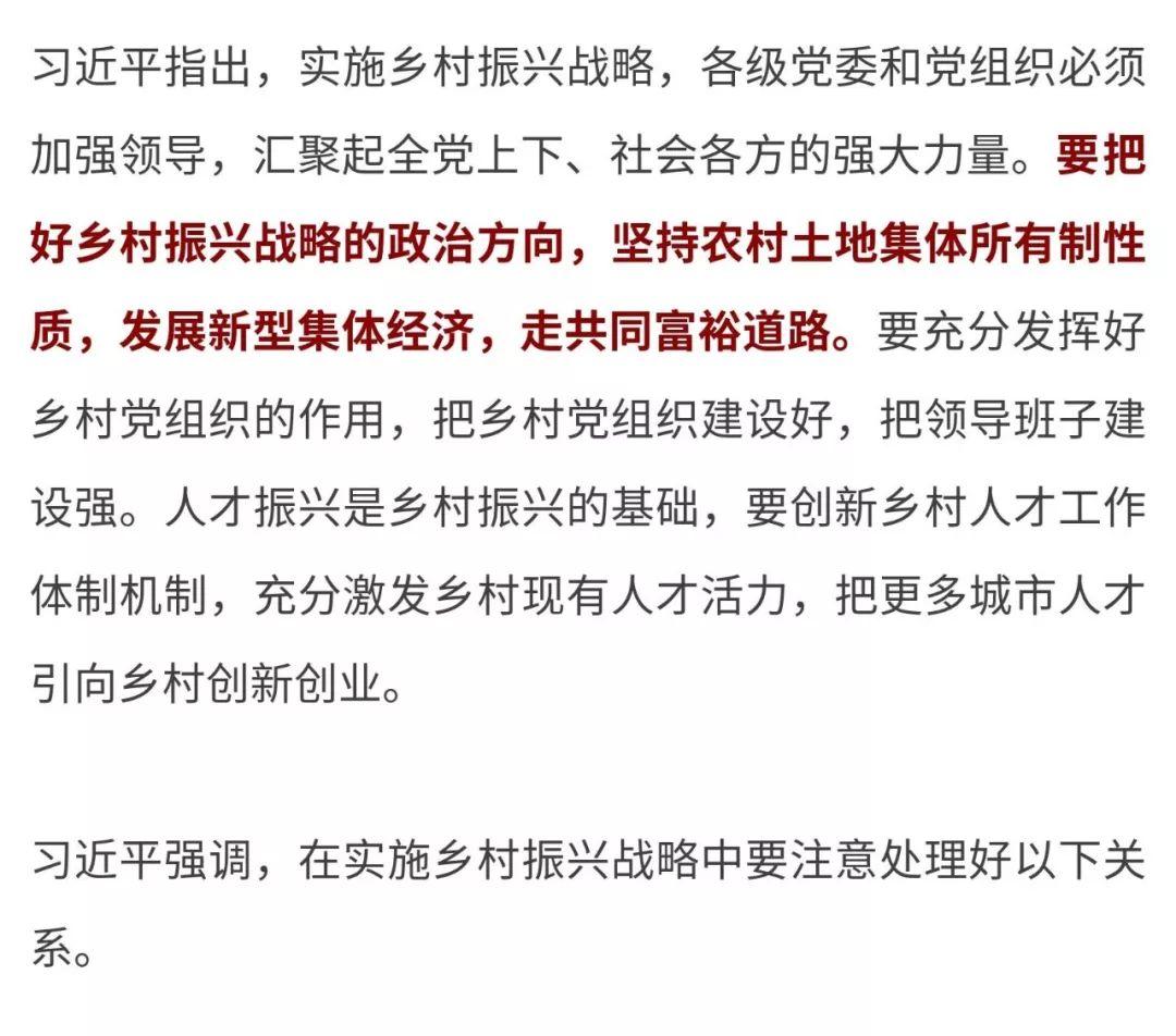 习近平：把乡村振兴战略作为新时代“三农”工作总抓手