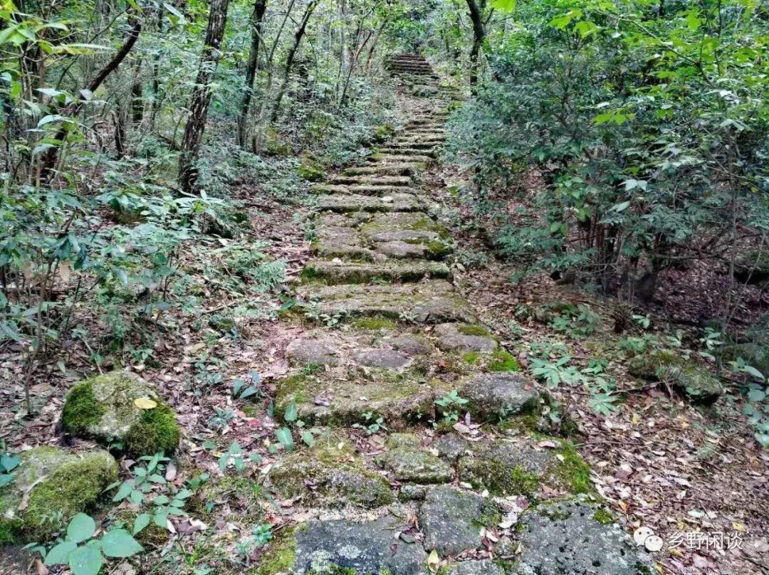 【徽州古道31】黄山汤岭古道(4):一条尘封已久的千年官道 【徽州古道31】黄山汤岭古道(4):一条尘封已久的千年官道