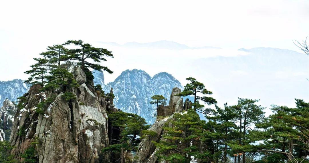 回良玉撰文抒发黄山情怀：退休后首先到黄山