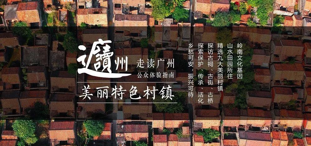 走读广州｜美丽特色村镇——南沙东涌镇