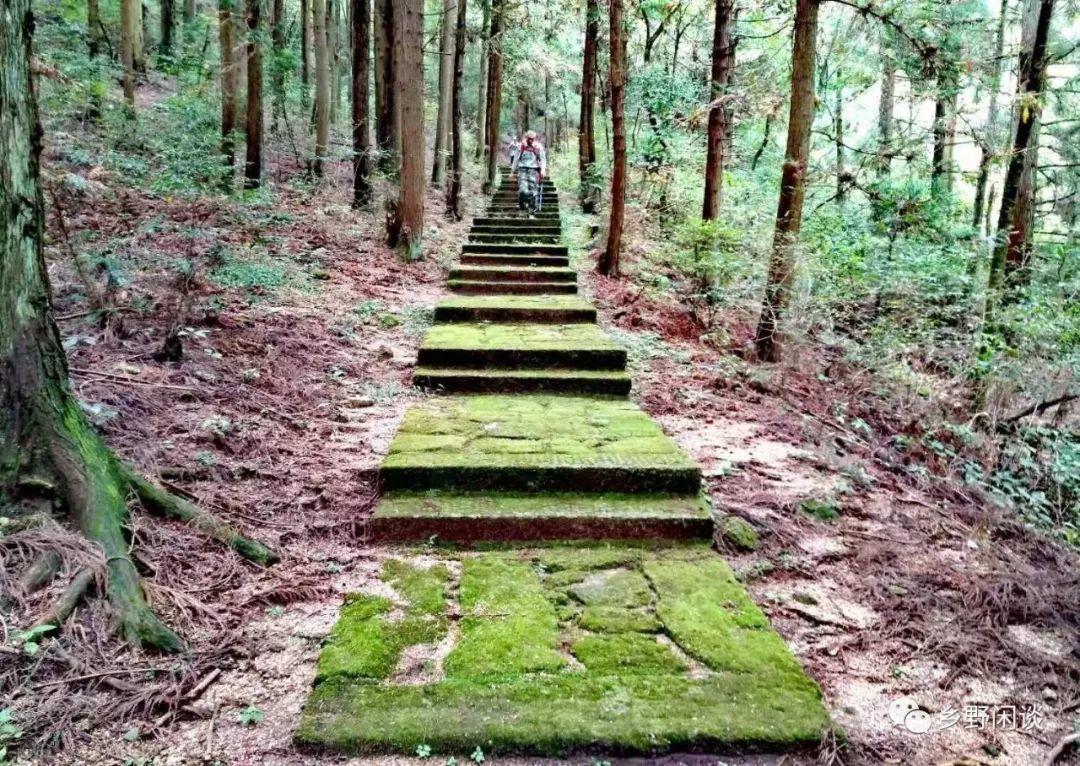 【徽州古道31】黄山汤岭古道(4):一条尘封已久的千年官道 【徽州古道31】黄山汤岭古道(4):一条尘封已久的千年官道