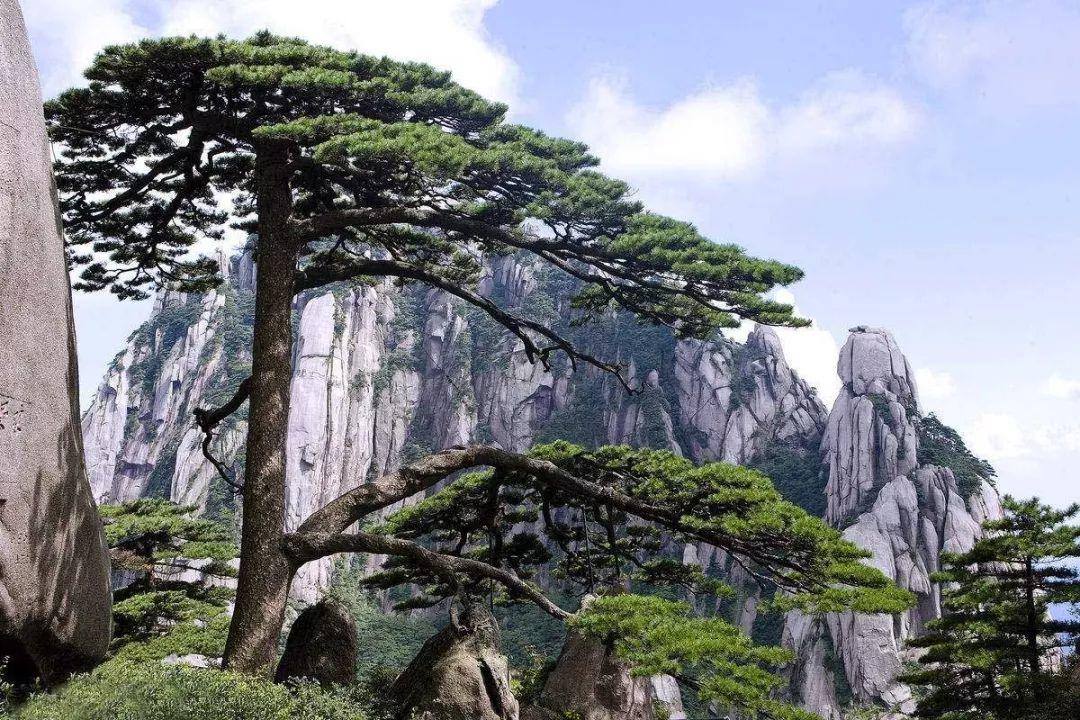 回良玉撰文抒发黄山情怀：退休后首先到黄山