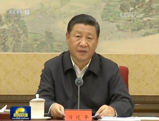 习近平:实施乡村振兴战略要注意处理好四大关系
